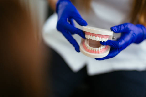 Professional  Holistic Dental Services in Dassel, MN